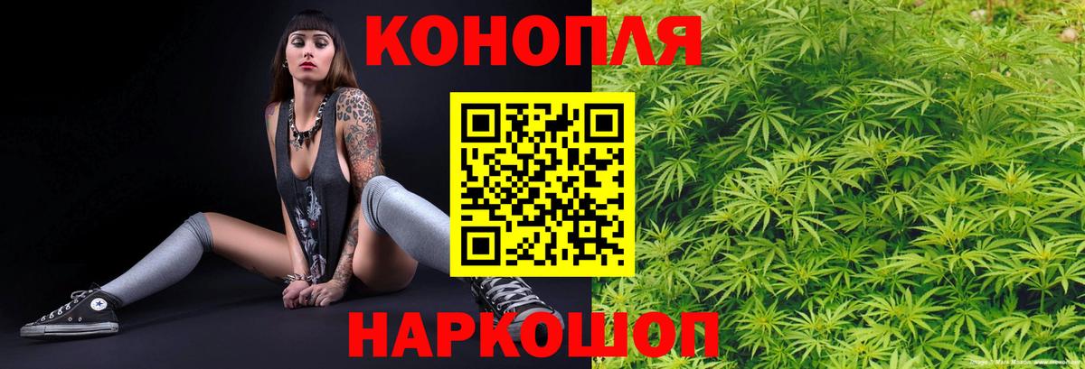 Шишки марихуана SATIVA & INDICA  Вход с VPN  Конопля конопля  Малгобек  Бошки Шишки тримм 